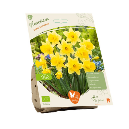 Bio narcis early sensation 5st