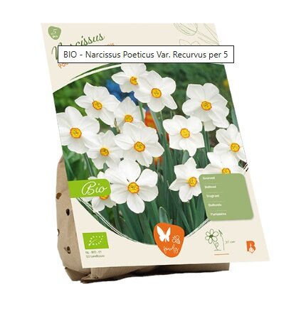 Bio - narcis poeticus v rec. 5st