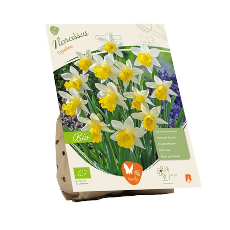 Bio narcis topolino 5st