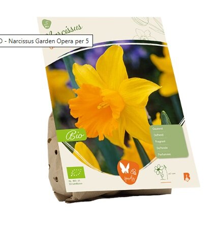 Bio - narcissus garden opera 5st