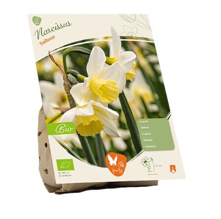 Bio - narcissus sailboat 5st