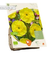 Bio - narcissus sundisc 5st
