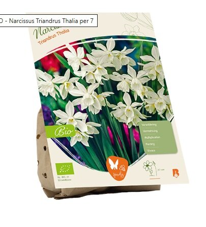 Bio - narcissus tr. thalia 7st