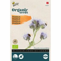 Bio phacelia 0.5gram