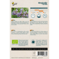Bio phacelia 0.5gram - afbeelding 2