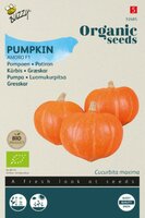Bio pompoen amoro f1 6 zdn