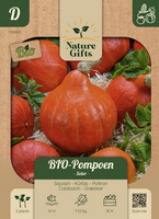 Bio pompoen solor 5st