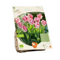Bio tulipa lingerie 5st
