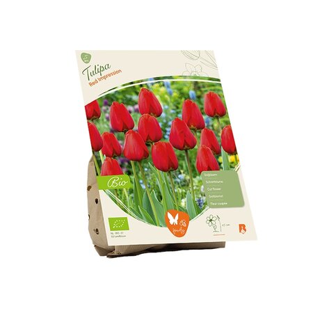 Bio  - tulipa red impression 5st