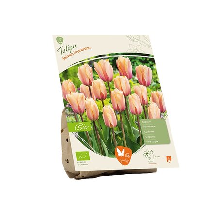 Bio - tulipa salmon imprssion 5st