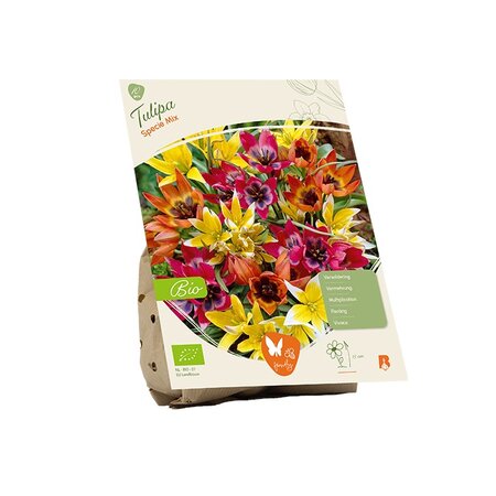 Bio - tulipa specie mix 10st