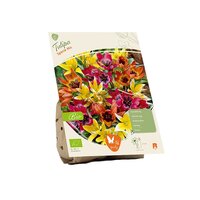 Bio - tulipa specie mix 10st