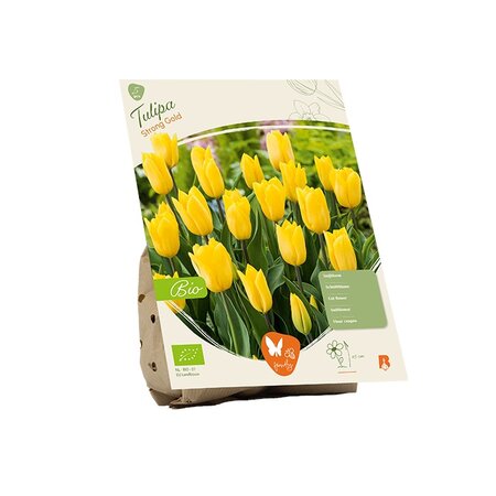 Bio - tulipa strong gold 5st
