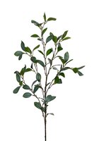 Blad l88cm groen/grijs