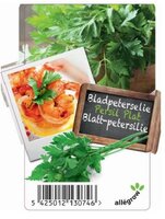 Blad Peterselie - afbeelding 2