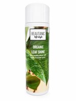 Bladglans refill