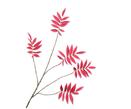 Bladtak l103cm beauty