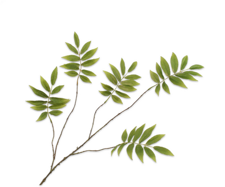 Bladtak l107cm groen