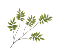 Bladtak l107cm groen