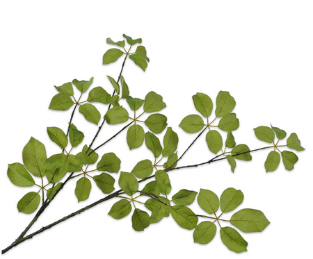 Bladtak l134cm groen