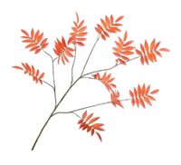 Bladtak l159cm oranje