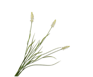 Blauwe druiftak l73cm groen/wit