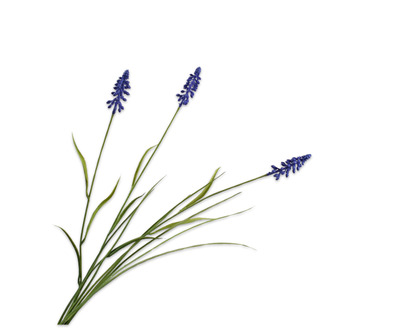 Blauwe druiftak l73cm paars