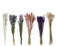 Bloem droogbloem d14l55cm a6