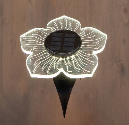 Bloem solar acryl 15cm ww