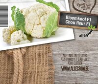 Bloemkool - afbeelding 2