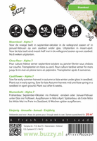 Bloemkool alpha 1g - afbeelding 2