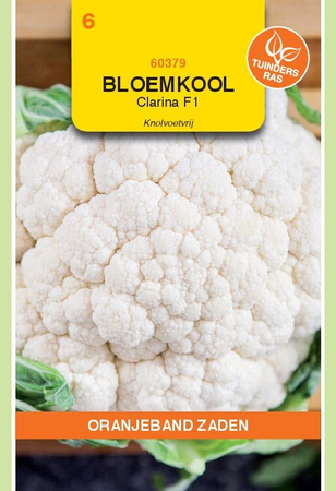 Bloemkool clarina f1 30zdn - afbeelding 1
