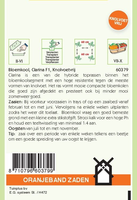 Bloemkool clarina f1 30zdn - afbeelding 2