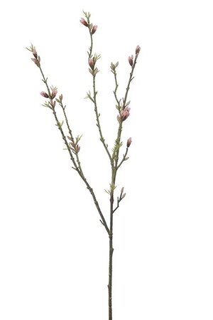 Bloesemknoppensteel l80cm roze