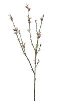 Bloesemknoppensteel l80cm roze