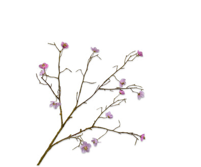 Bloesemtak l74cm roze