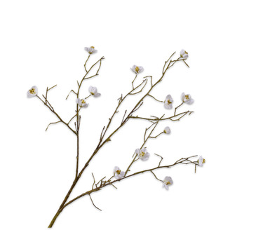 Bloesemtak l74cm wit