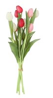 Boeket tulpen l49cm creme/fuchsia
