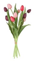 Boeket tulpen l49cm donkerpaars