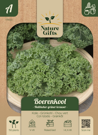 Boerenkool halfhoge groene gekruid 175st