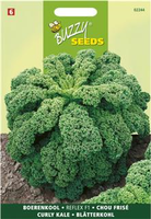 Boerenkool reflex f1 hybride 100zd - afbeelding 4