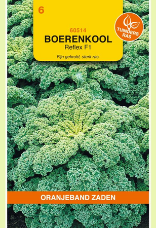 Boerenkool reflex f1 hybride 100zd - afbeelding 1