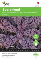 Boerenkool scarlet paars 2g - afbeelding 3