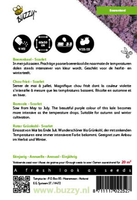 Boerenkool scarlet paars 2g - afbeelding 2