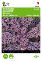 Boerenkool scarlet paars 2g
