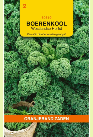 Boerenkool westlands herfst 3g - afbeelding 1