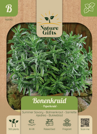 Bonen kruidig peperkruid 300st