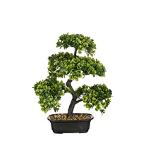 Bonsai i/pot l30b30h38cm groen