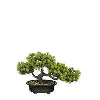 Bonsai i/pot l33b13h21cm groen