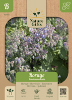Borage komkommerkruid 50st